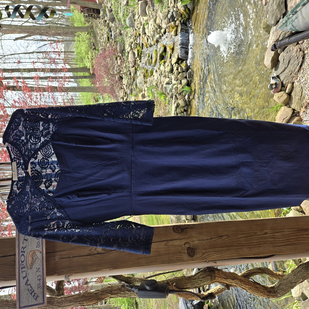 Belle Poque Navy Lace Dress